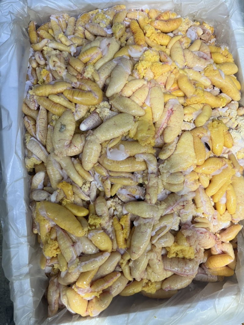 新鲜鲈鱼籽