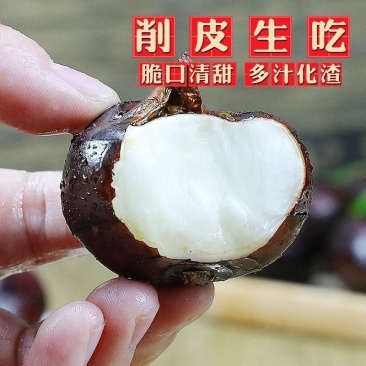 包邮【现挖现发】新鲜马蹄荸荠水果农家蔬菜马蹄果超甜5斤