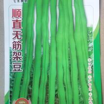 无筋豆种子顺直无筋架豆早熟条长翠绿色结荚密好吃