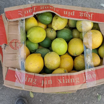 散装柠檬现货一万多斤2.5元包上车