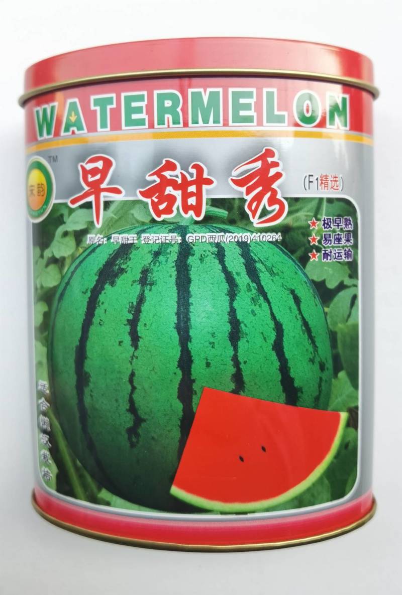 早甜秀西瓜种子极早熟京欣麒麟西瓜圆瓜皮薄耐裂超甜西瓜种子