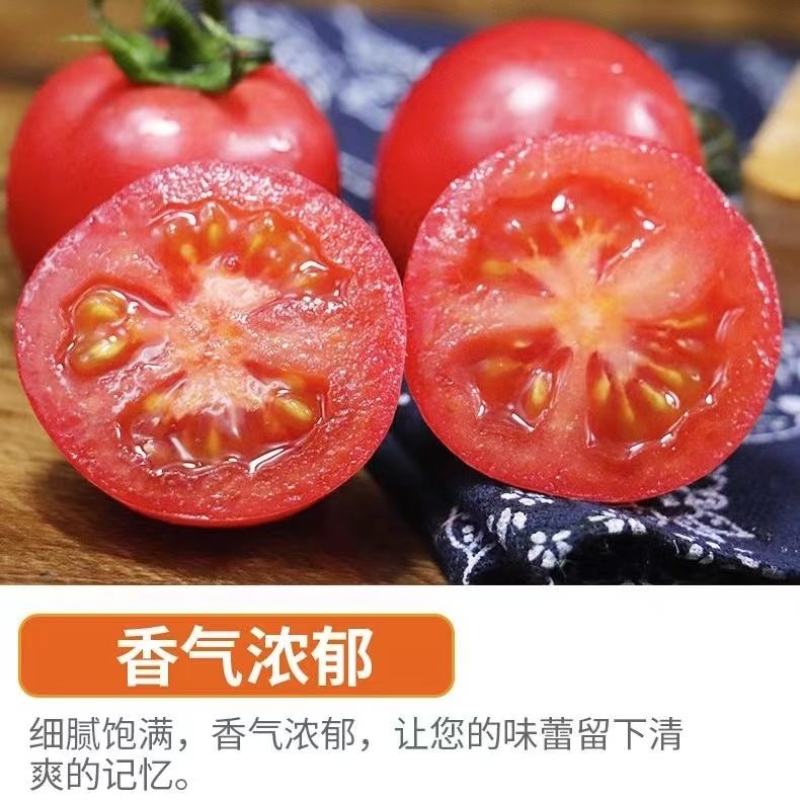 福建漳州圣女果，社区团购，一件代发，整车供应货源充足