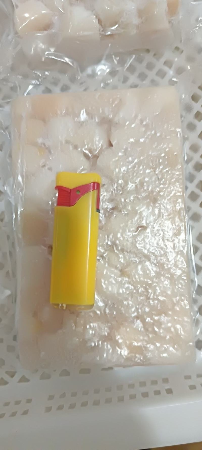 贝柱一斤装