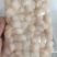 贝柱一斤装