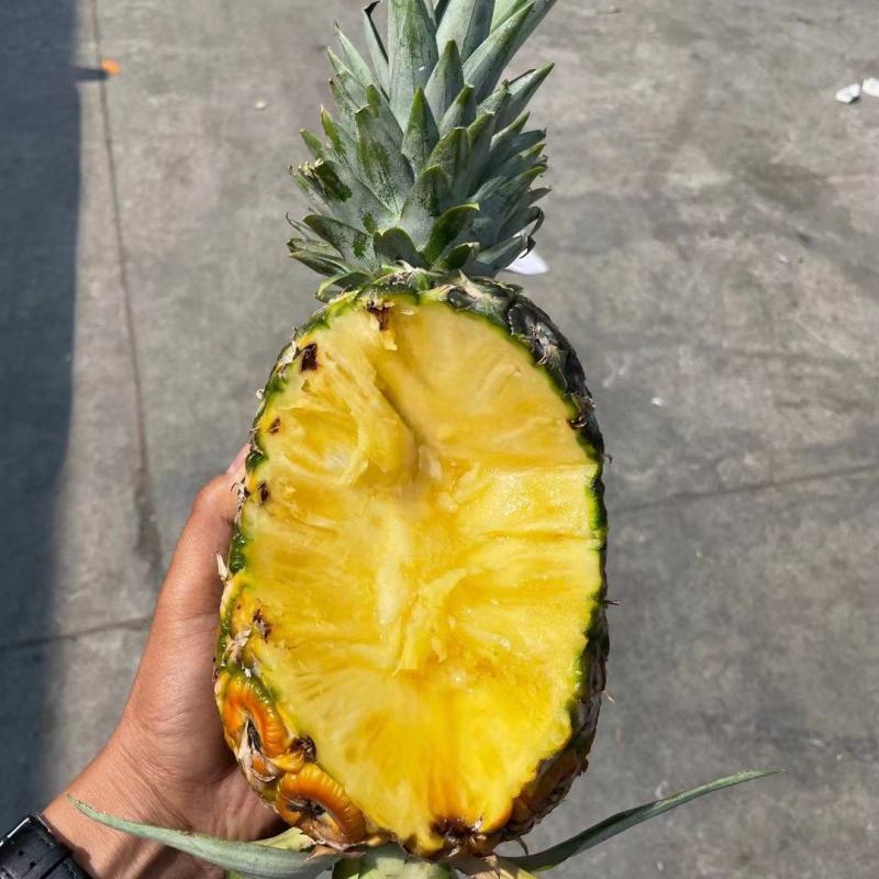 凤梨云南西双版纳无眼凤梨全年供货欢迎订购