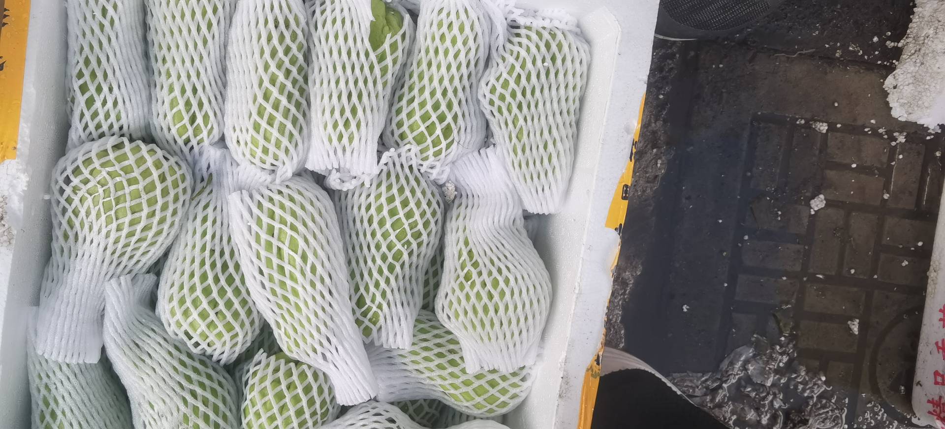 网纹瓜果盘搭配酸奶与薄荷 网纹瓜果盘搭配酸奶与薄荷