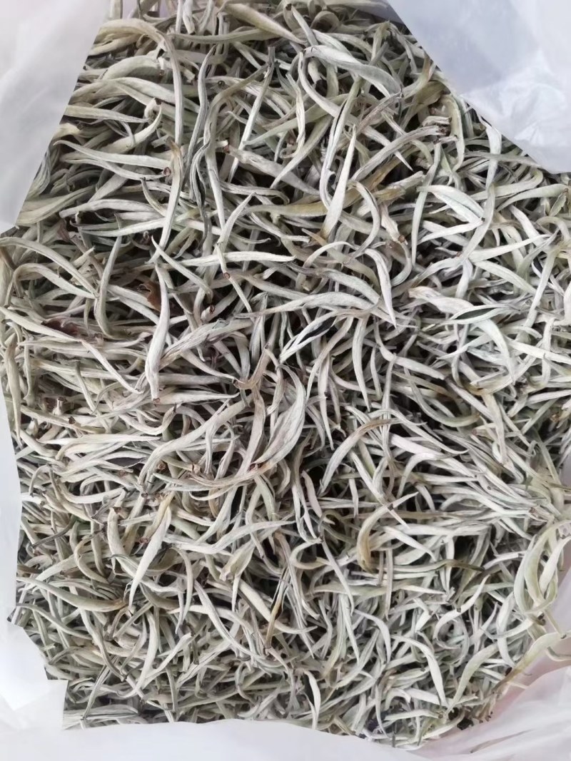 云南临沧原生态矮化古树普洱茶生茶毛料（绿茶口粮茶）