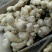 水洗生姜带土大黄姜块大饱满色泽金黄味辣质量可靠