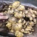 水洗生姜带土大黄姜块大饱满色泽金黄味辣质量可靠