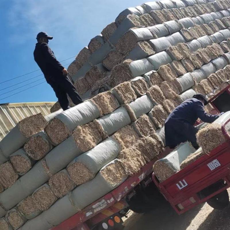 玉米秸秆大量有货，质量好价格美丽，诚信经营，欢迎合作。