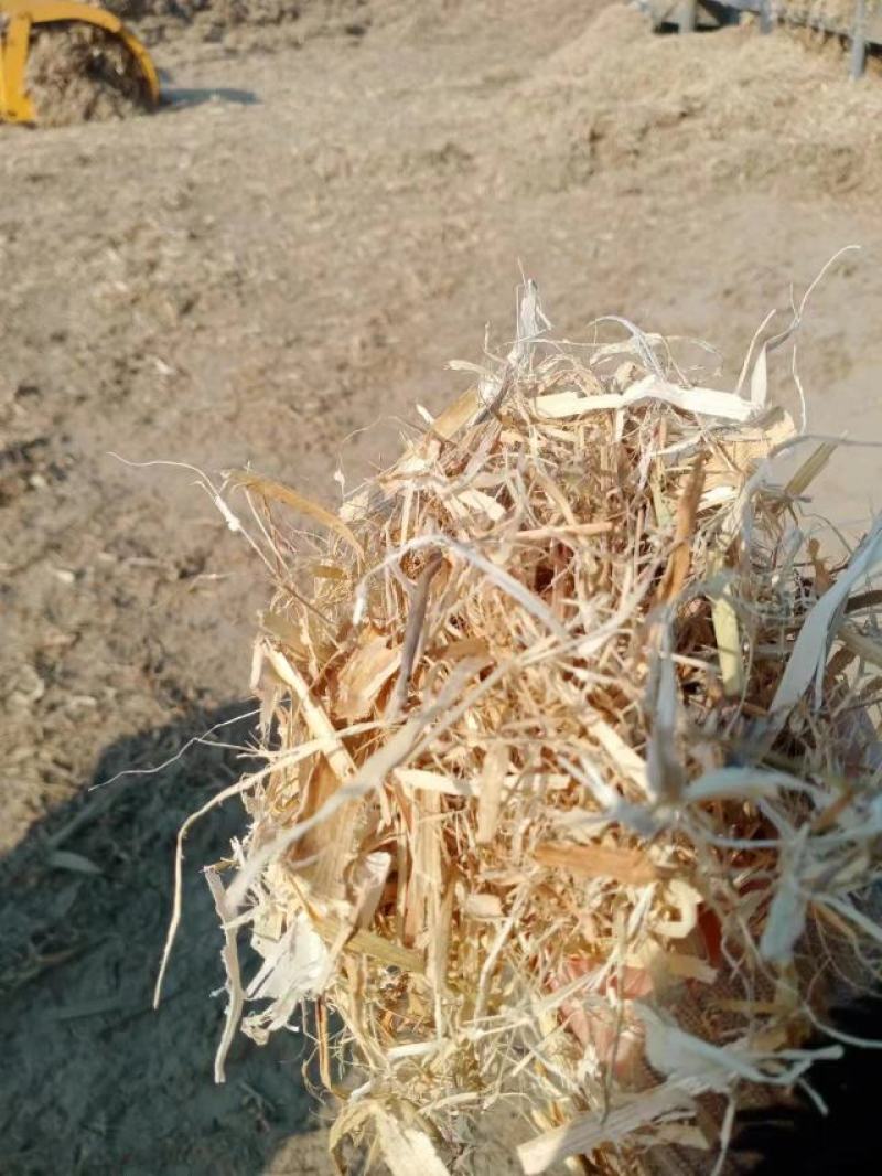 玉米秸秆大量有货，质量好价格美丽，诚信经营，欢迎合作。