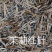 茉莉红针王浓香型茉莉花红茶广西横州市直发