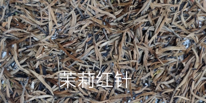茉莉红针王浓香型茉莉花红茶广西横州市直发