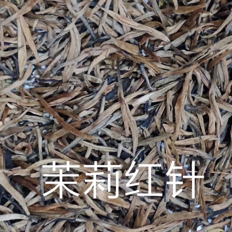 茉莉红针王浓香型茉莉花红茶广西横州市直发