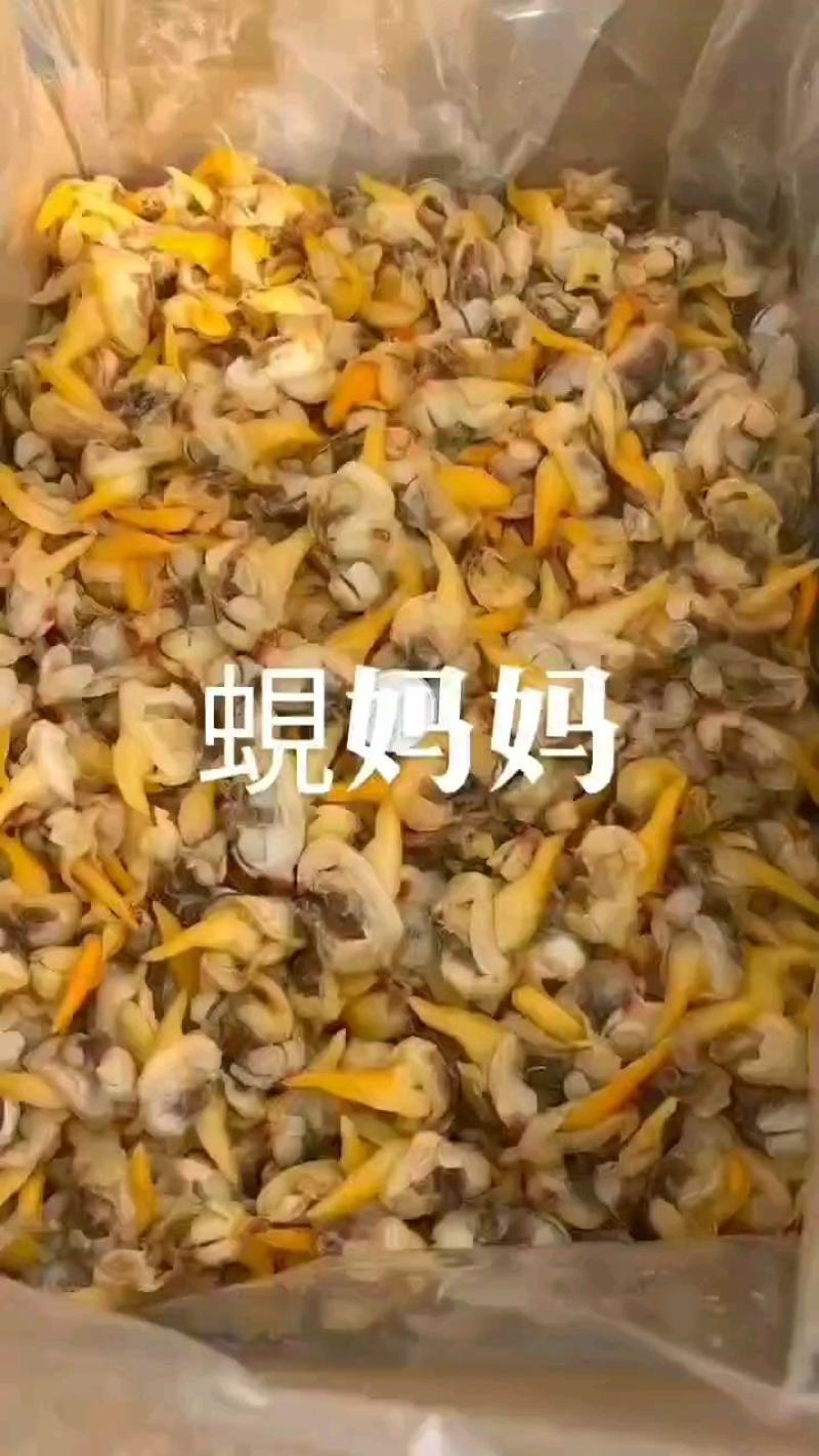 蛤蜊干黄蚬肉干去脏蚬子肉干电商产品蚬子干