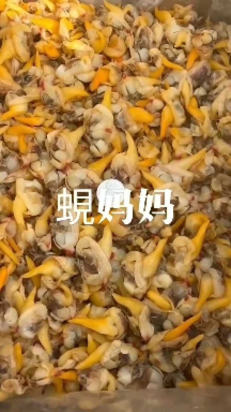 蛤蜊干黄蚬肉干去脏蚬子肉干电商产品蚬子干