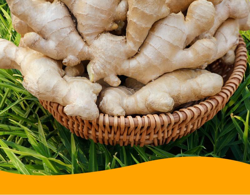 印尼大黄姜制作黄金奶的过程展示