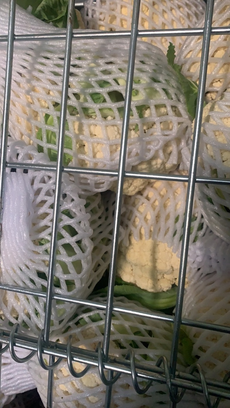 花菜