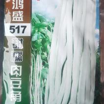 厚肉白豇豆种子鸿盛517甜糯肉豆角早熟荚长70厘米
