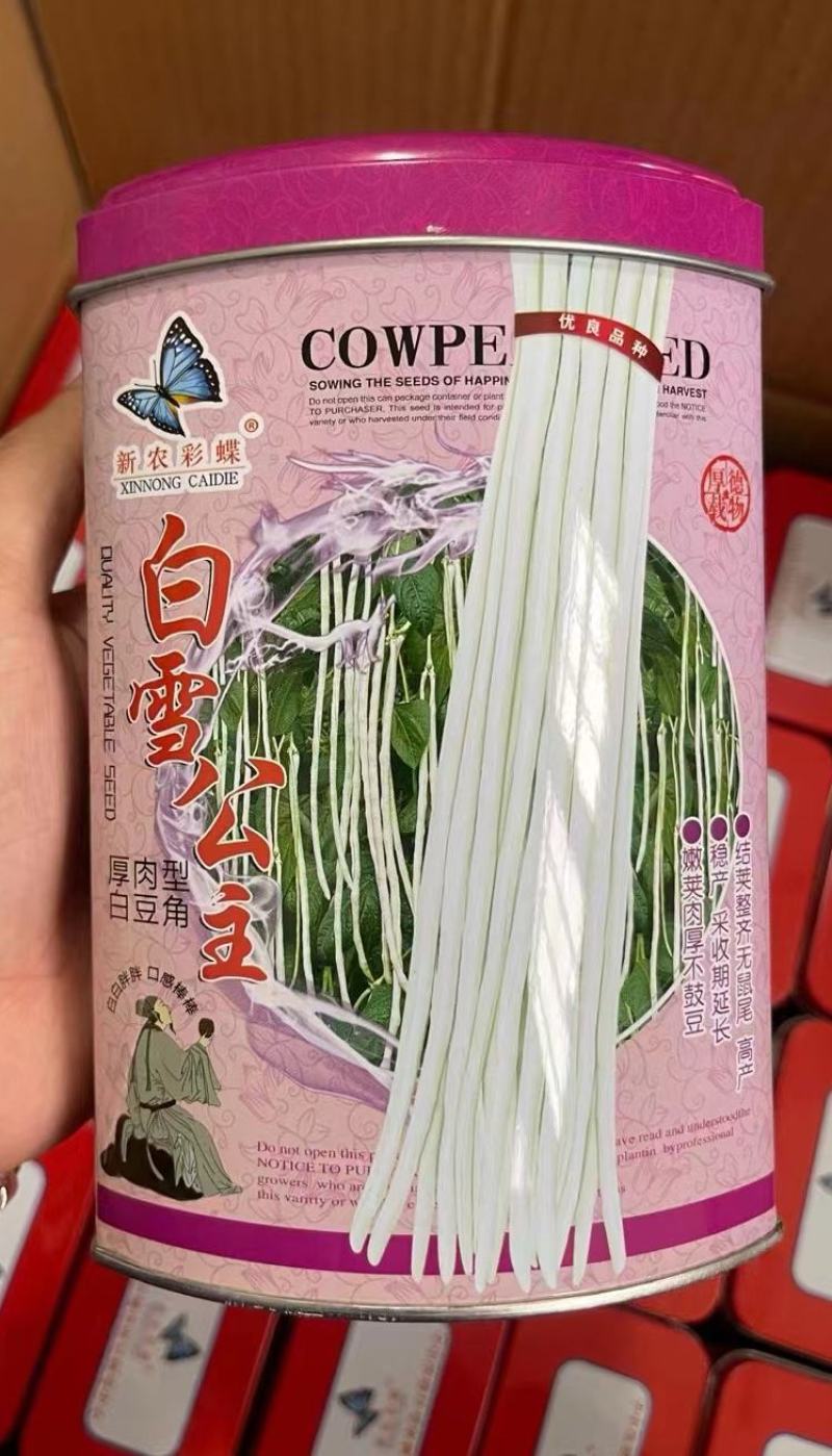 厚肉白豇豆种子鸿盛517甜糯肉豆角早熟荚长70厘米