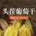 绿香妃葡萄干，新疆吐鲁番基地直发全国，吐鲁番葡萄干的魅力