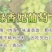 绿香妃葡萄干，新疆吐鲁番基地直发全国，吐鲁番葡萄干的魅力