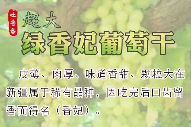 绿香妃葡萄干，新疆吐鲁番基地直发全国，吐鲁番葡萄干的魅力