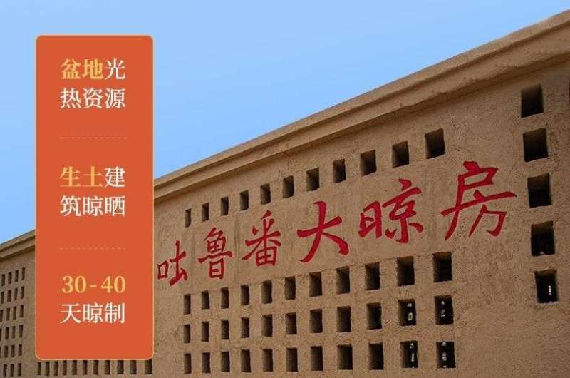 绿香妃葡萄干，新疆吐鲁番基地直发全国，吐鲁番葡萄干的魅力