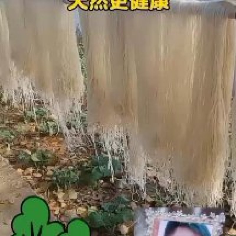 农家纯红薯粉丝，零添加，无污染，假一罚十