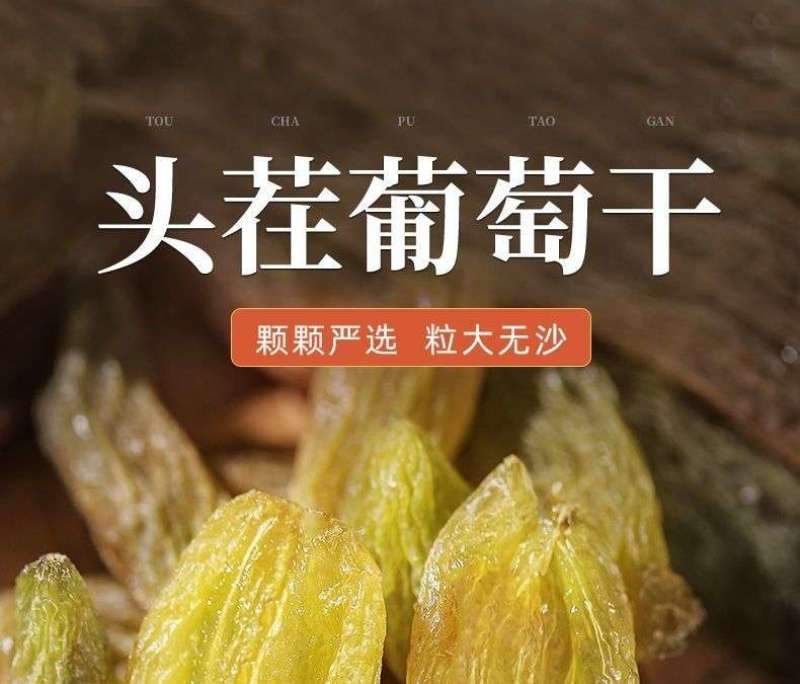 树上黄葡萄干，新疆吐鲁番独有品种，天气风干基地直发。