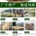 肇庆特产广宁大竹笋笋干笋条农家纯野生天然竹笋干干货土特产