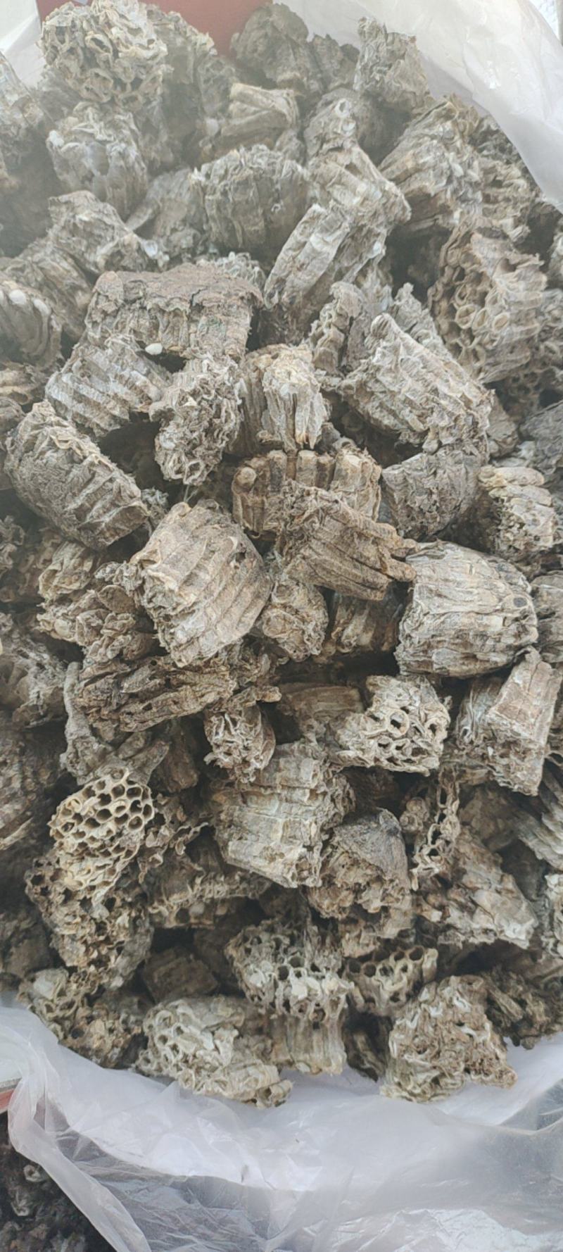 中药材蜂房，产地直发，一手货源，量大从优，欢迎采购