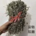 野生艾叶干艾草泡脚泡澡药包家用艾叶艾条艾绒欢迎咨询