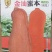 蜜本南瓜种子金汕蜜本大果耐贮运口感甜面