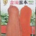 蜜本南瓜种子金汕蜜本大果耐贮运口感甜面