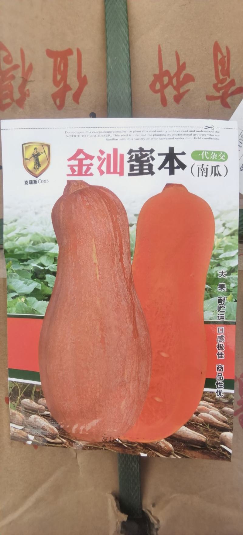蜜本南瓜种子金汕蜜本大果耐贮运口感甜面