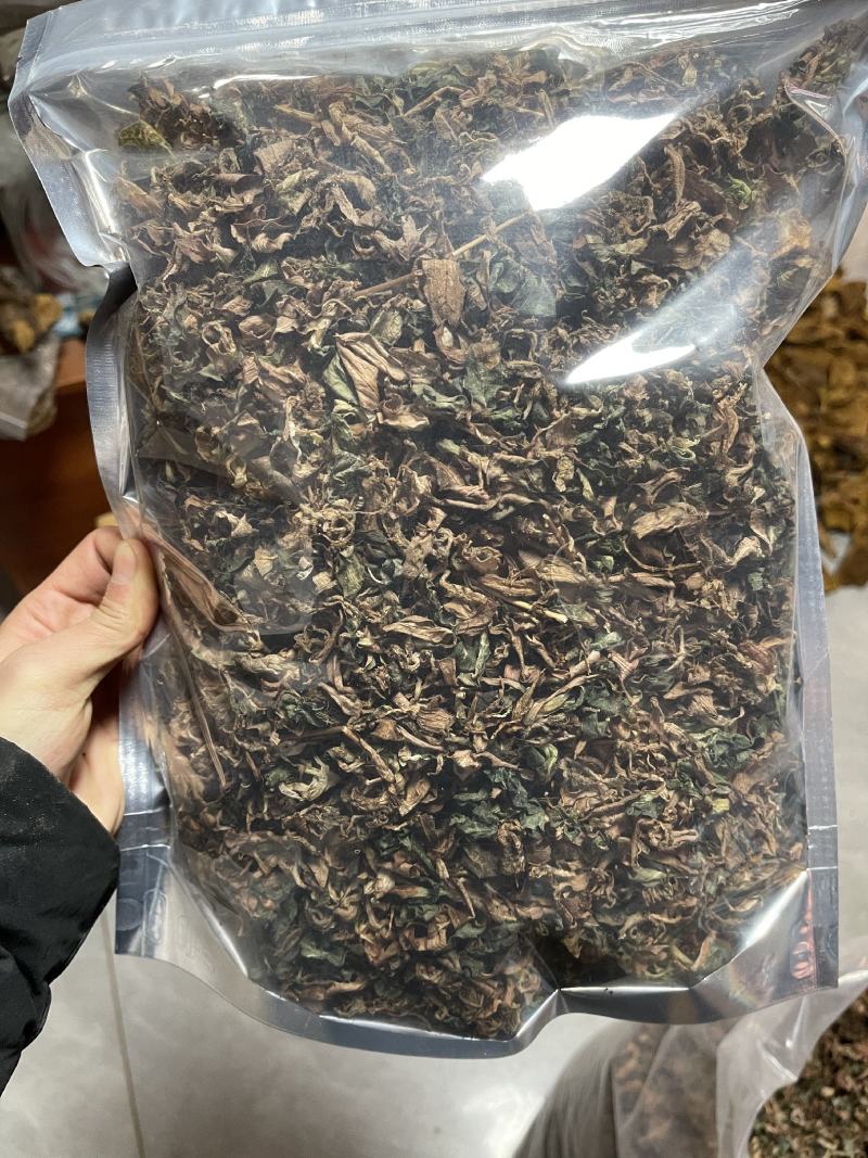 缅甸小叶银线莲纯野生银线莲（金线莲属）水洗全干。新货！