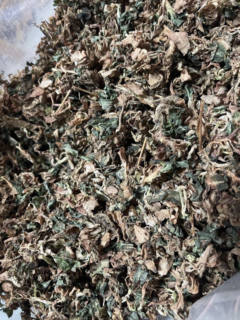 缅甸小叶银线莲纯野生银线莲（金线莲属）水洗全干。新货！