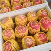 红富士，明月苹果