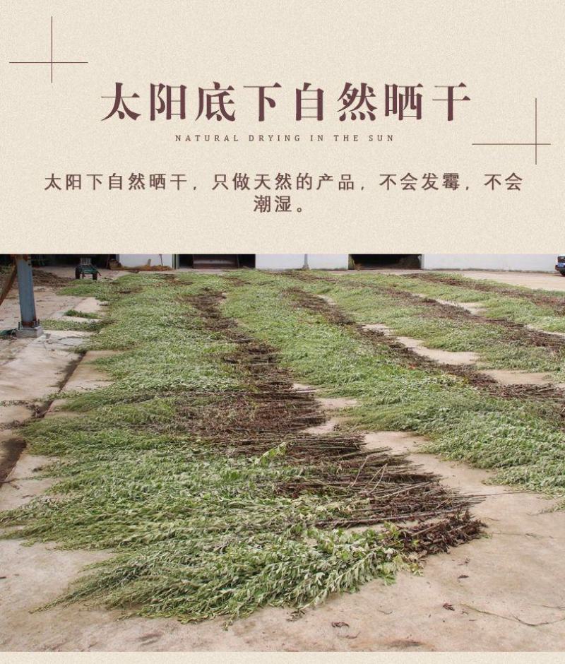 野生艾叶干艾草泡脚泡澡药包家用艾叶艾条艾绒欢迎咨询