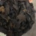 厚朴花新货足干不粉碎500克一包10公斤包邮需要请私信