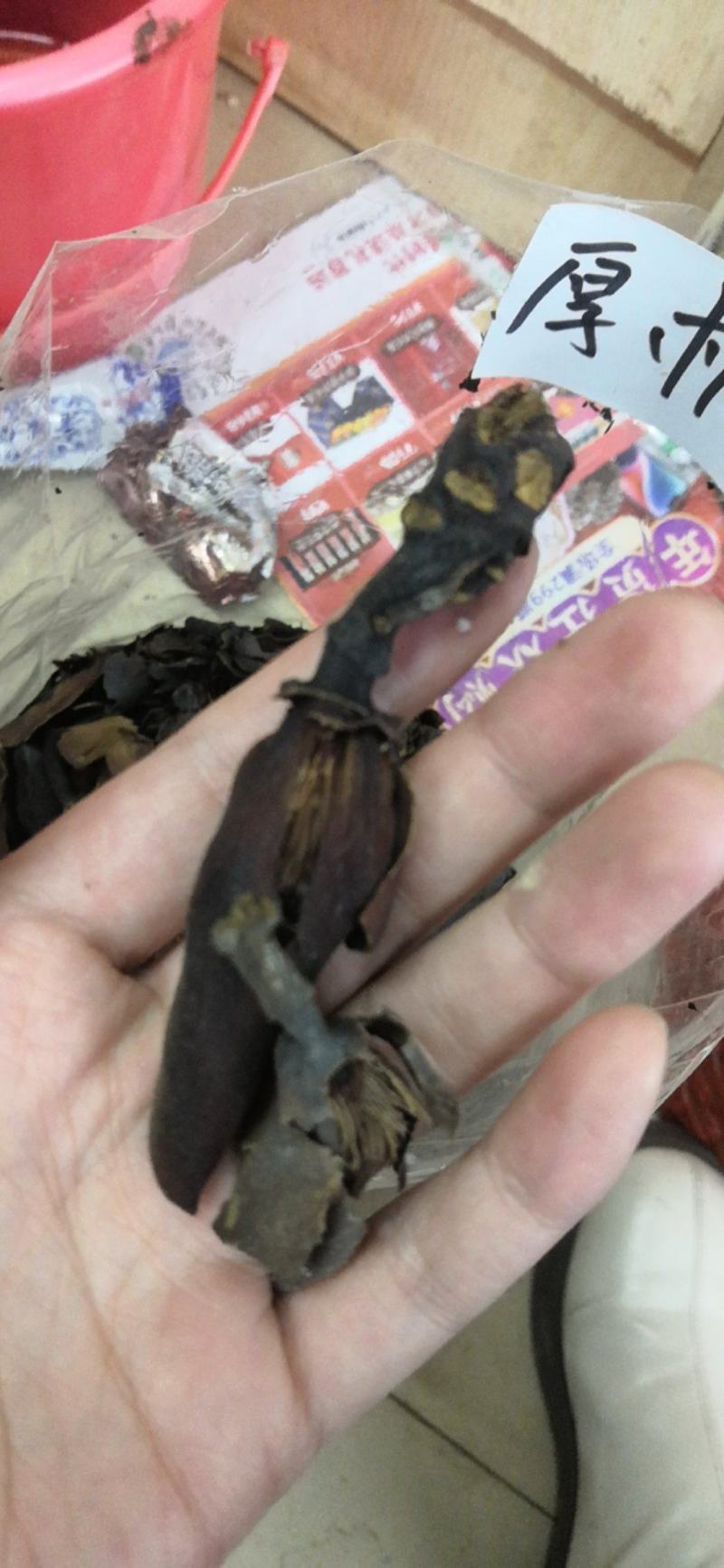 厚朴花新货足干不粉碎500克一包10公斤包邮需要请私信