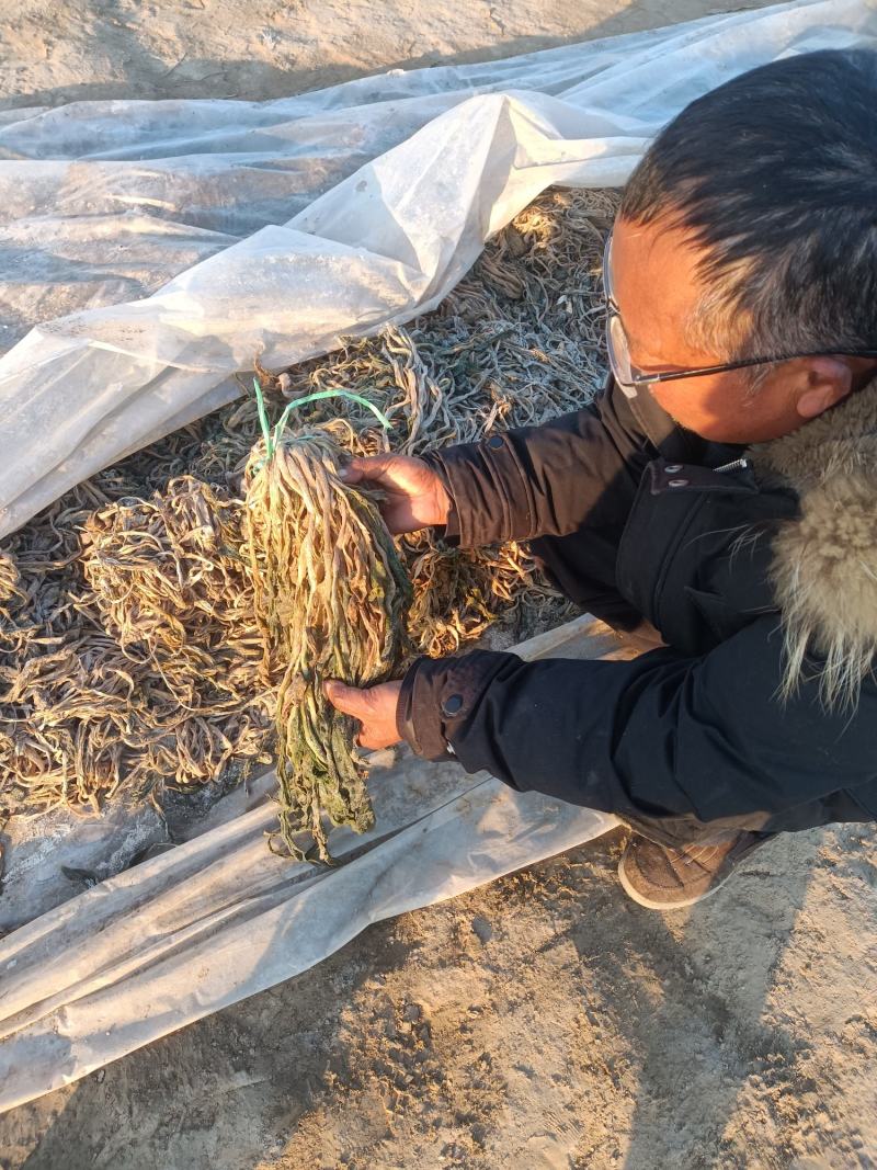 梅干菜，宿迁市腌制梅干菜，原始工艺加工。现货10万斤