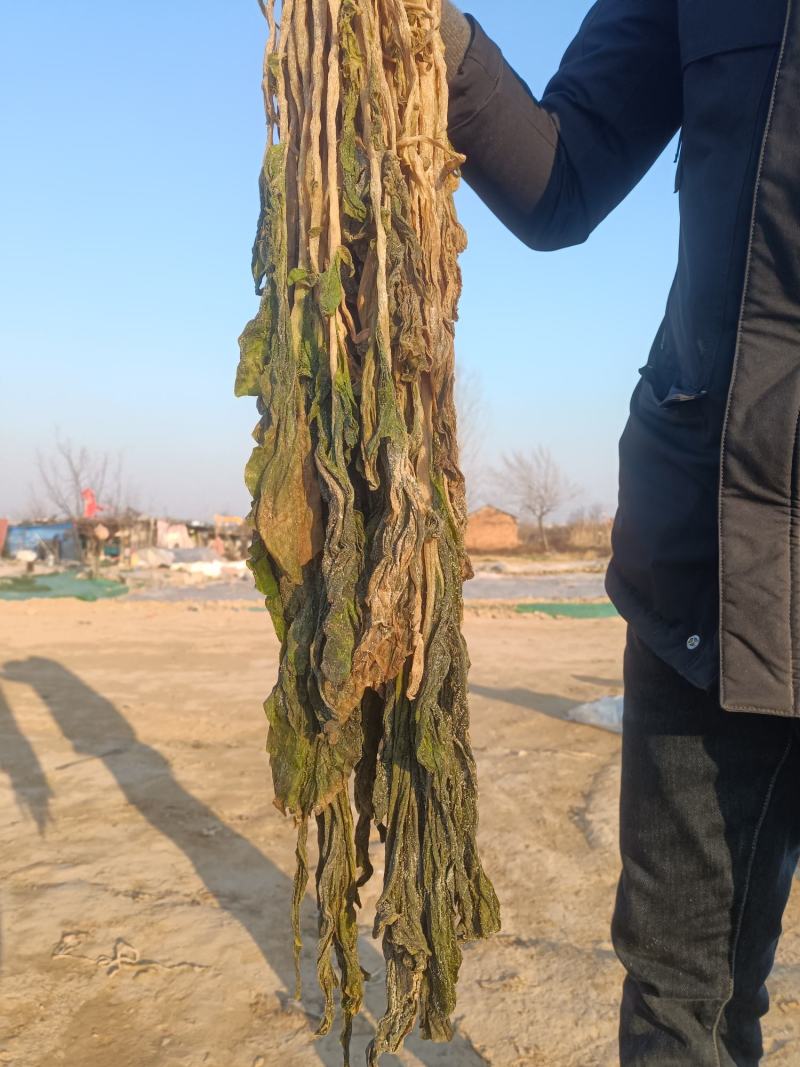 梅干菜，宿迁市腌制梅干菜，原始工艺加工。现货10万斤