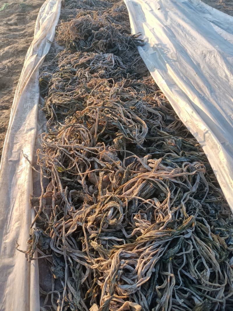 梅干菜，宿迁市腌制梅干菜，原始工艺加工。现货10万斤