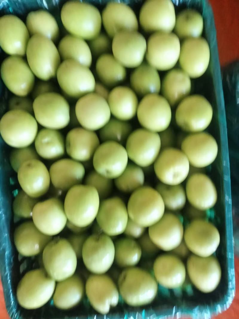 保山青枣