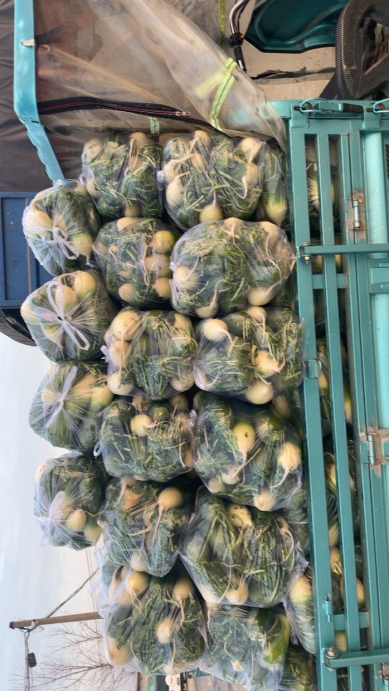 需要的朋友可以联系