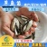 【2023年新苗】草鱼苗鲩鱼苗草鱼水花供应基地直供