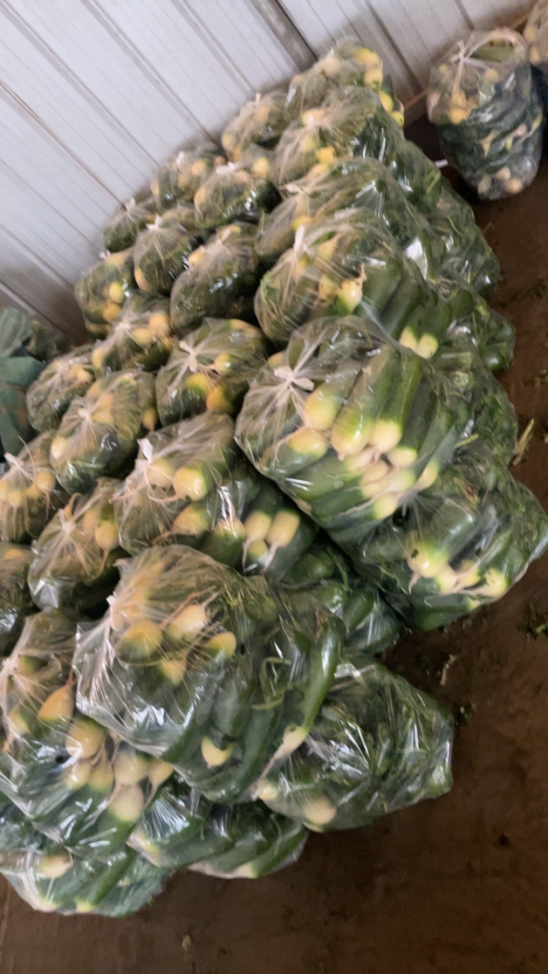 需要的朋友可以联系