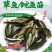 【2023年新苗】草鱼苗鲩鱼苗各类淡水鱼苗供应